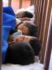 kids